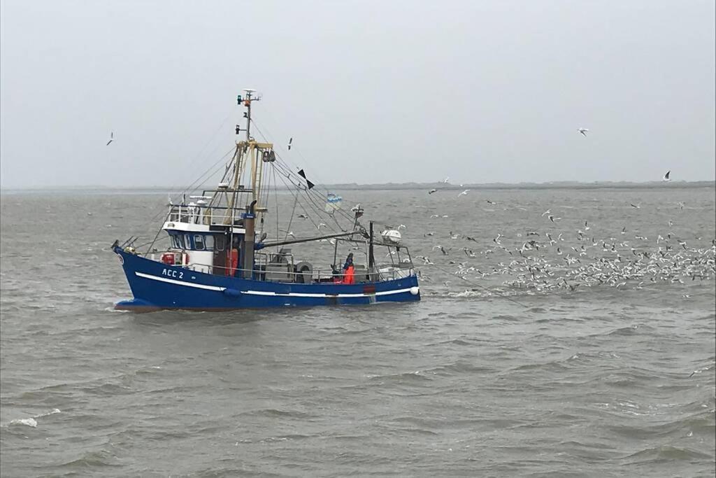 Nordsee Ferienwohnung Fuer 2 Personen Schillig Exterior photo